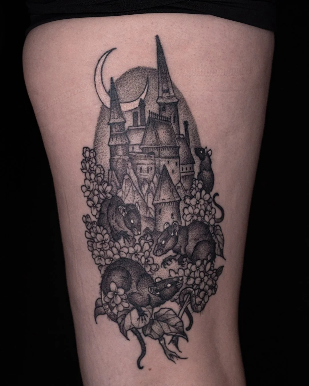 🐈&zwj;⬛🐀 some new, some old. Both timeless. ​
By the talented @jessigraden​
​
#leviticus #tattoo