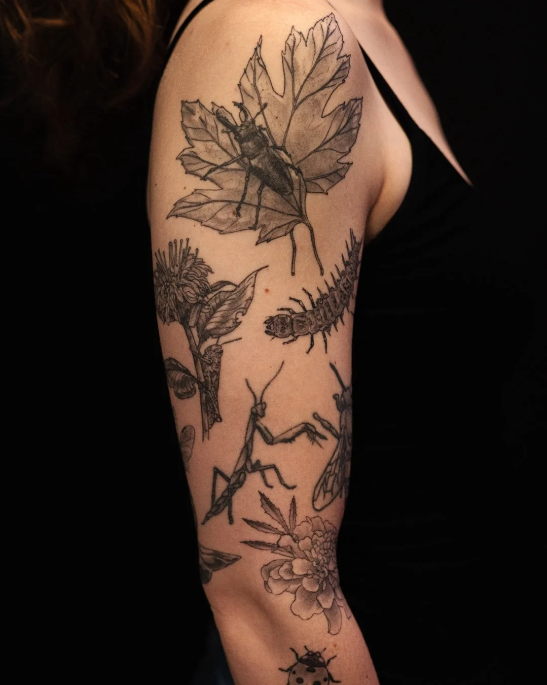 ITS FRICKIN BUGS 🐜. There&rsquo;s a little entomologist in all of us. Finished sleeve by @seemoretattoos​
​
#leviticus #tattoo