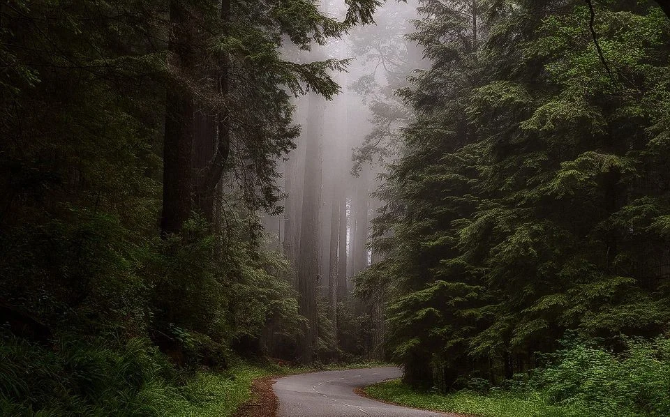 Wielding Magic: Folklore and the Power of Storytelling