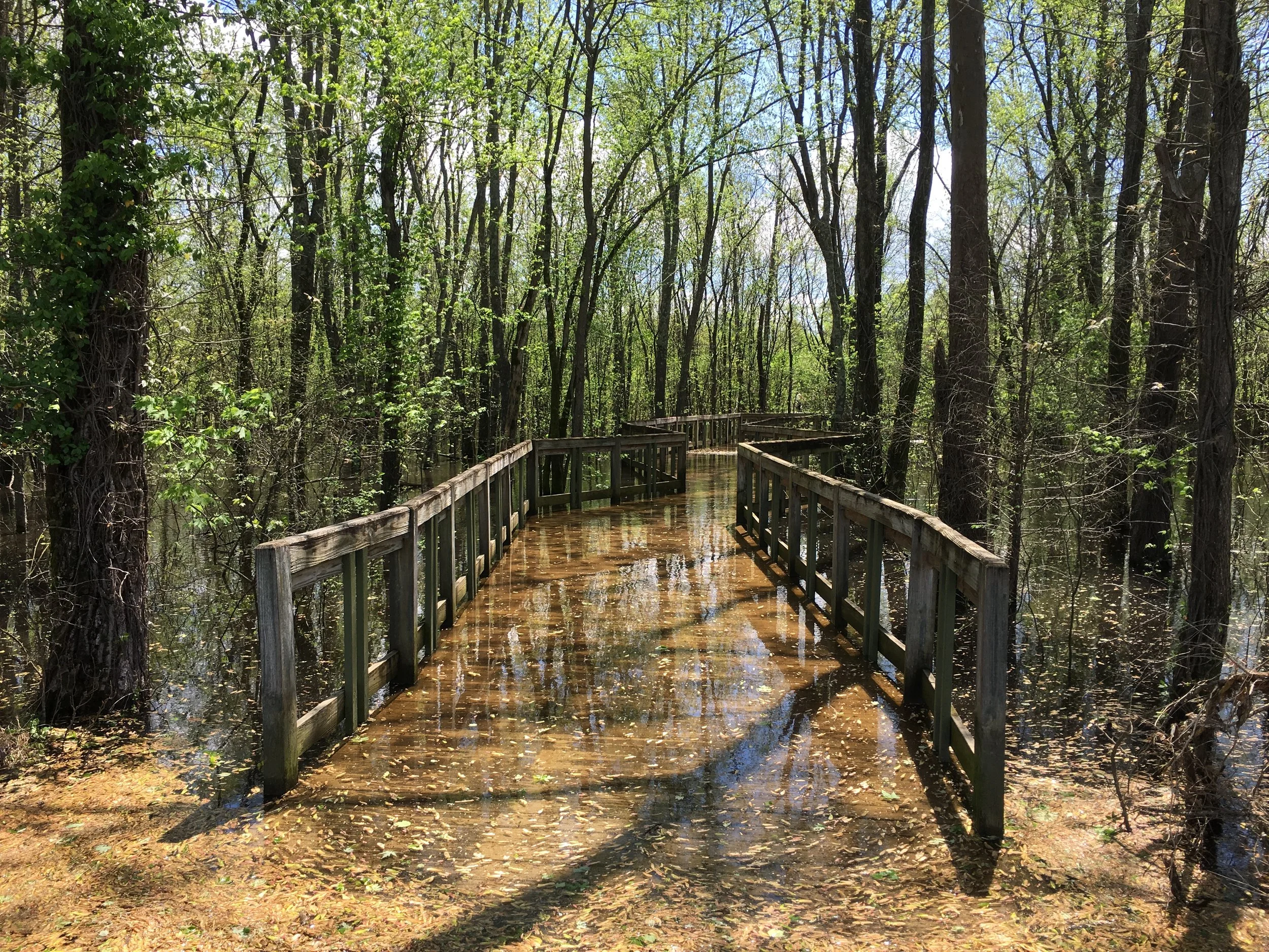 An Embarrassing New Start