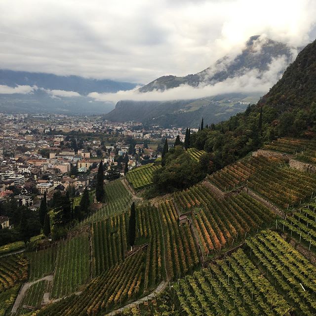 Mountains, beer, cheese...I mean that&rsquo;s it, that&rsquo;s the argument for Bolzano.