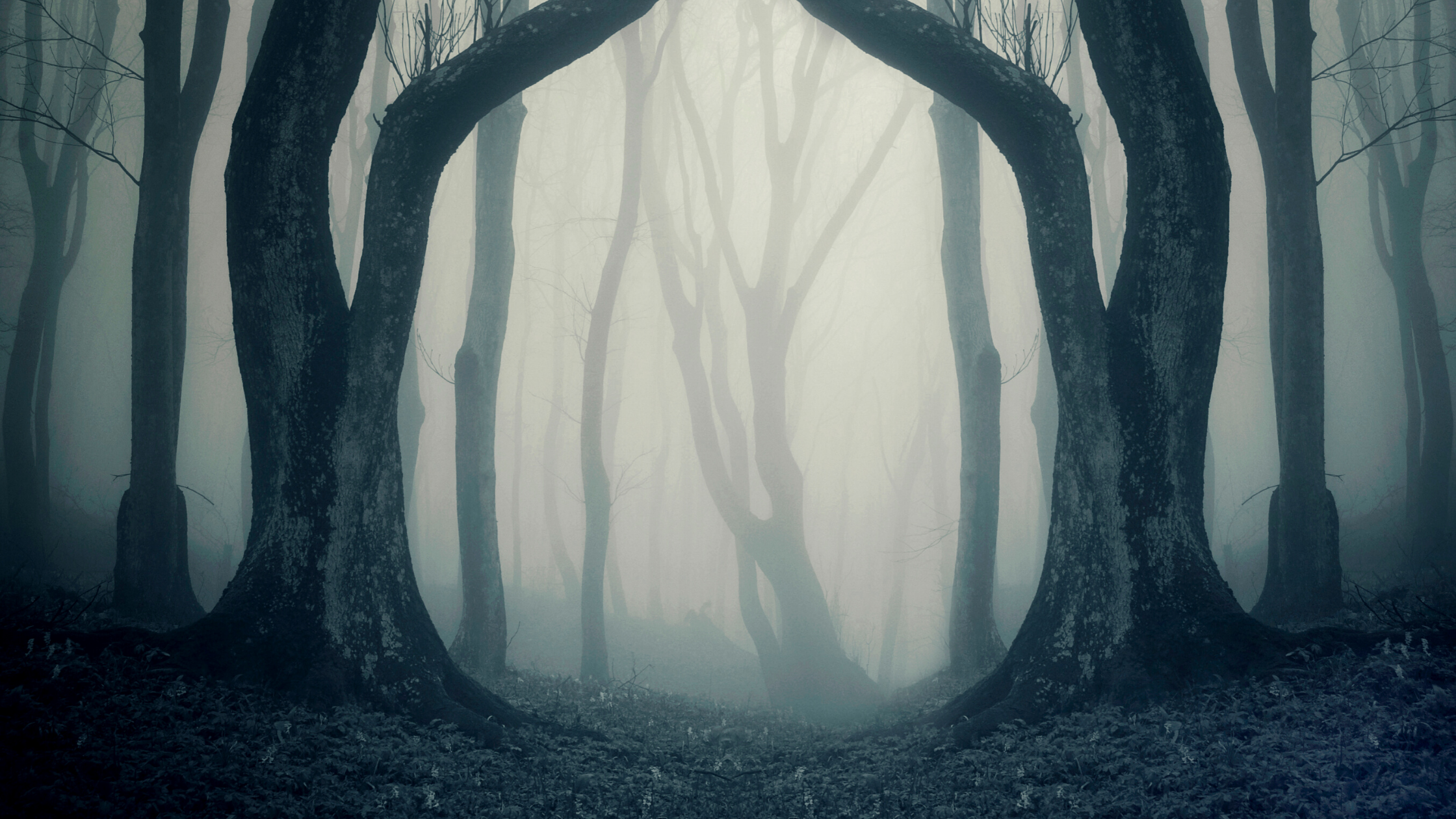 Мрачный 3 буквы 1 в. Мрачный фон. Страшный лес. Мрачный лес. Мистический фон.