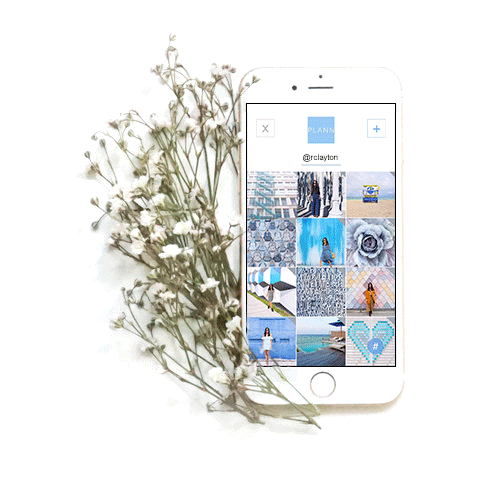 instagram algorithm.gif