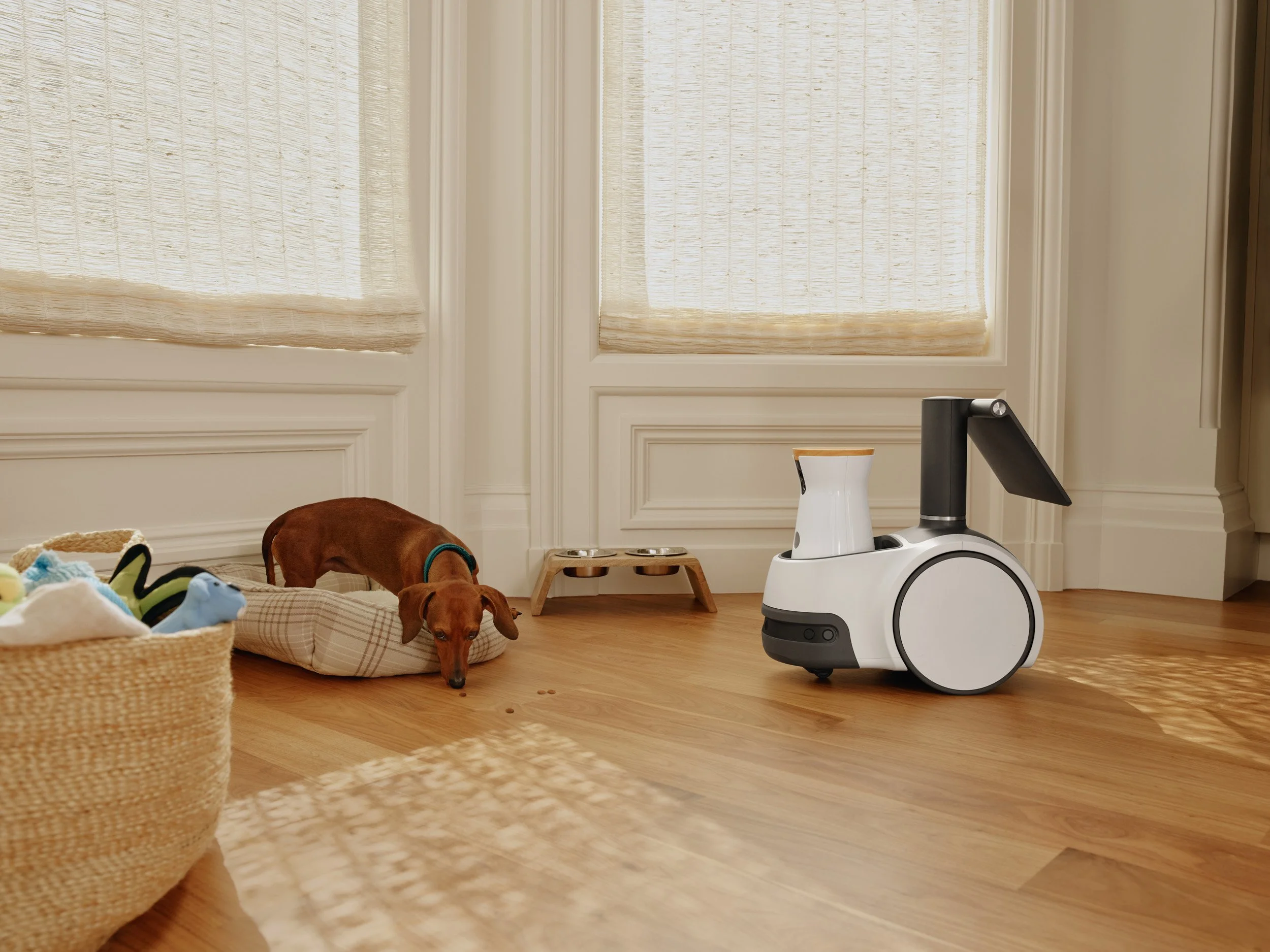 Astro_Q2_2022_Pet_Dog_Waterbowl_056.jpg