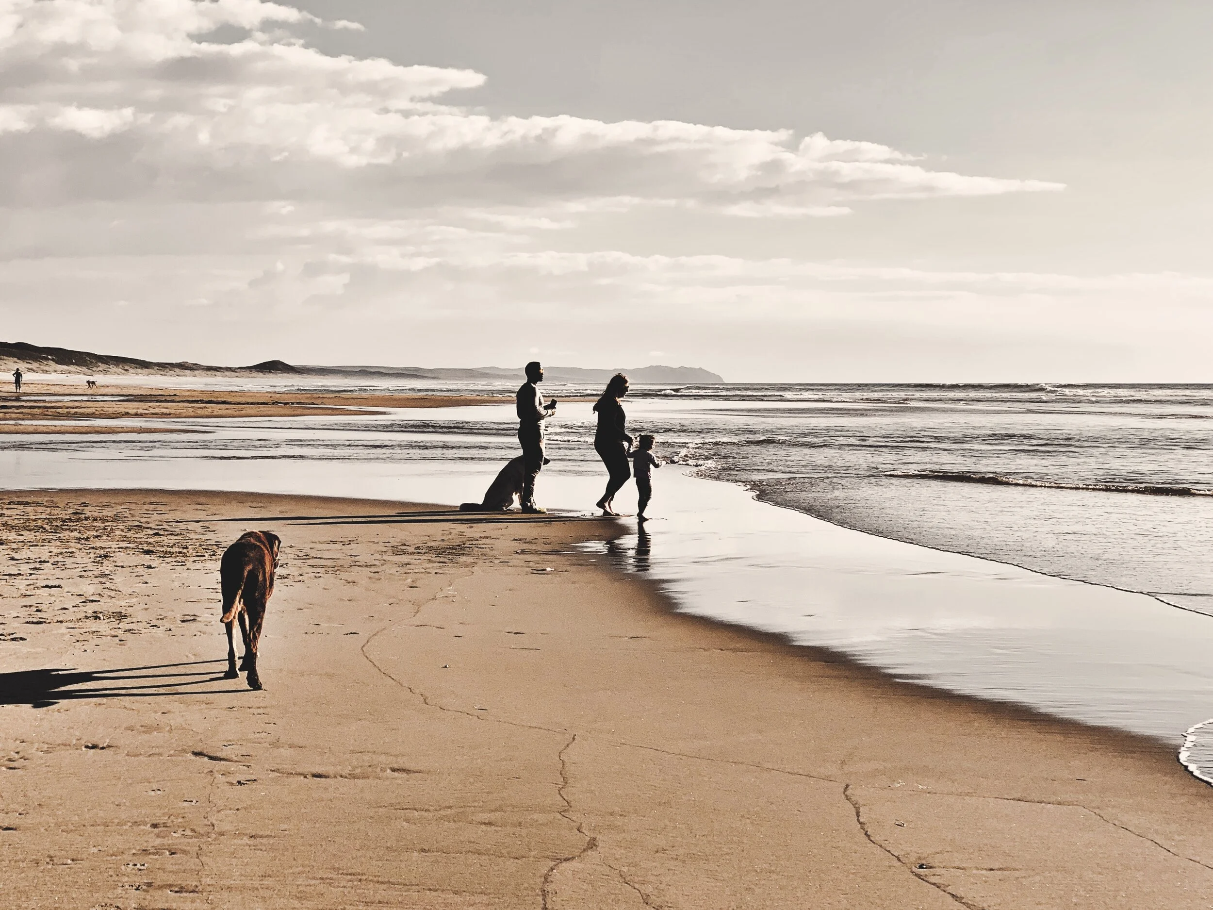 Family and Murphy at ocean.jpg