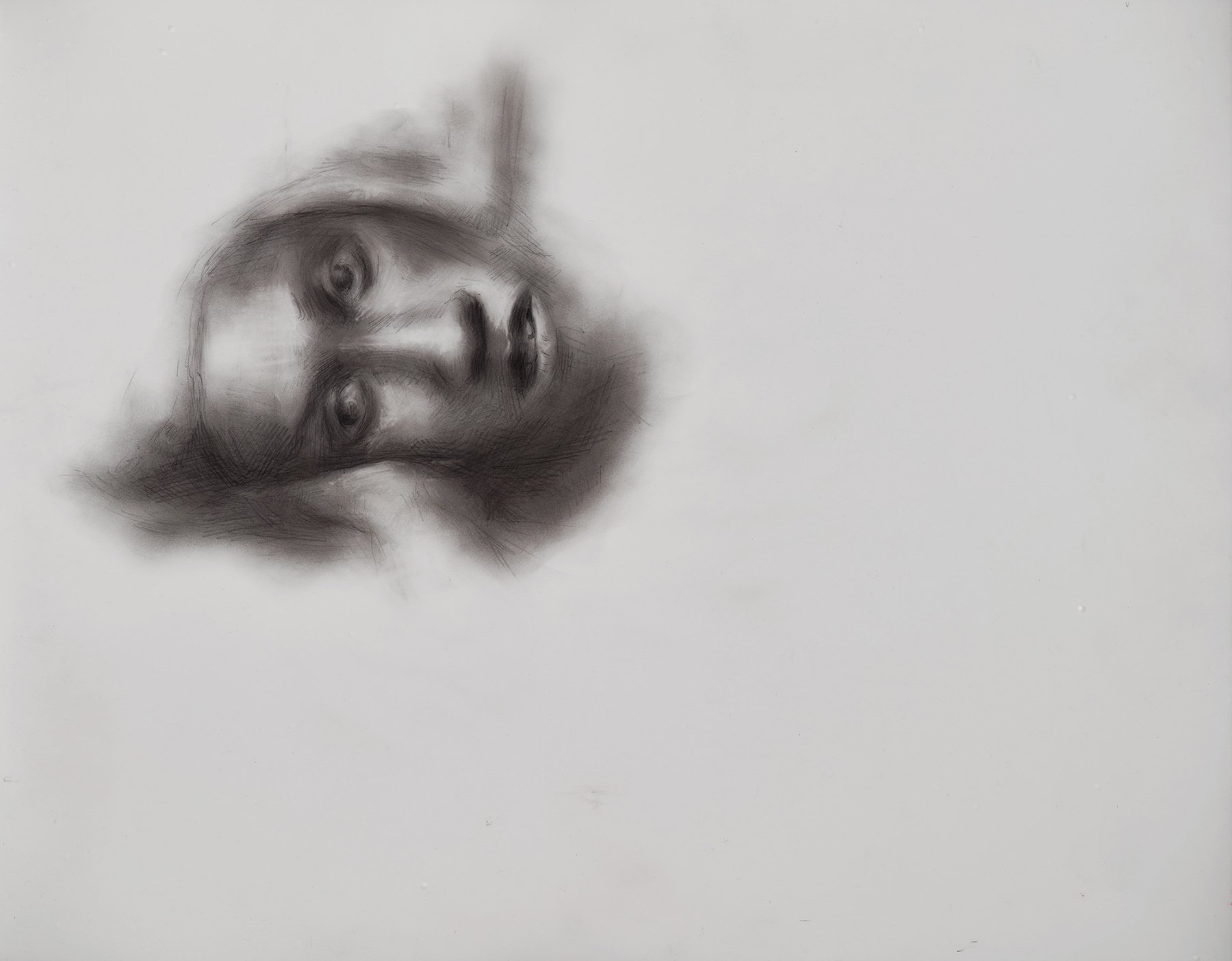   Still, A Portrait of Titania  2020 graphite on polyester 11 x 14 in. 
