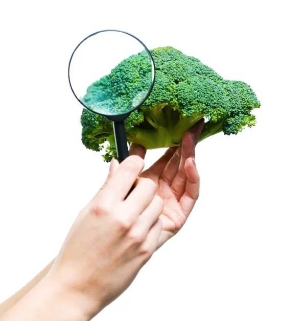 iStock-513944786.jpg