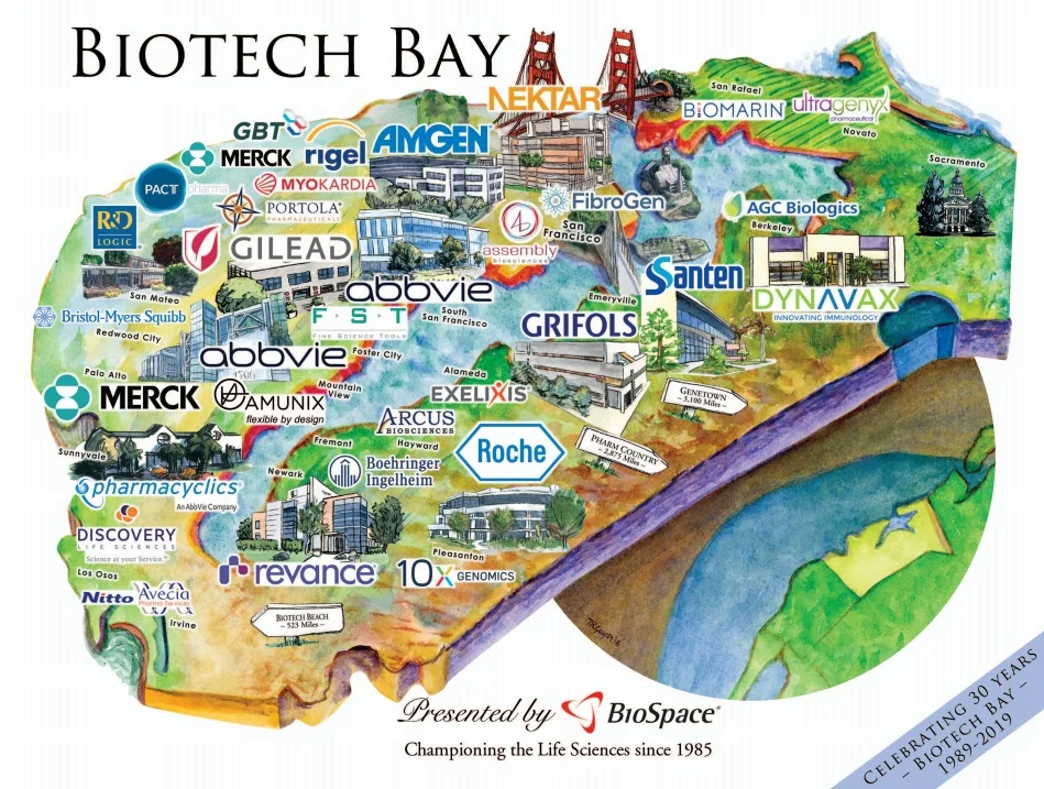 SF Bay Area Biotech.jpeg