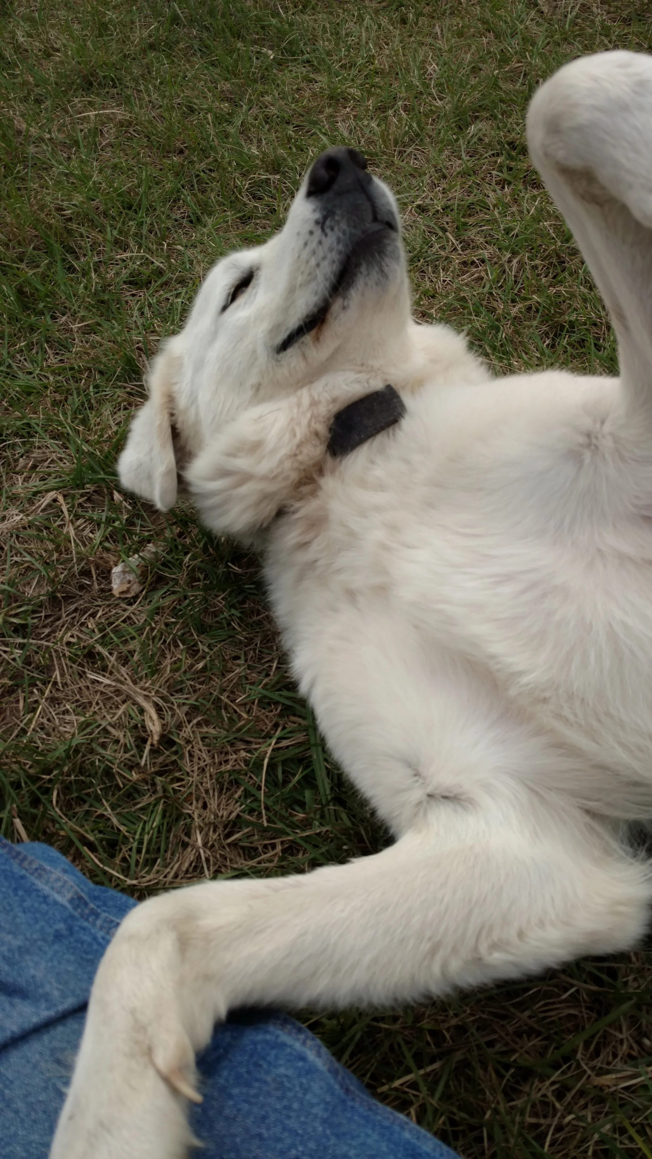 Who can resist this!
