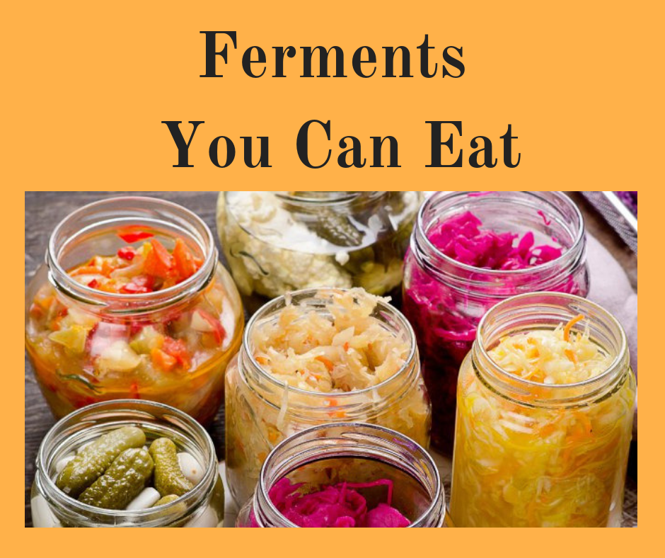 Ferments You Can Eat.png