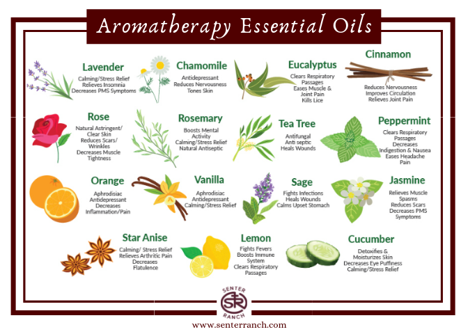 Aromatherapy Essential Oils.png