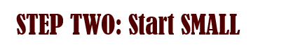 Step Two- Start Small.png