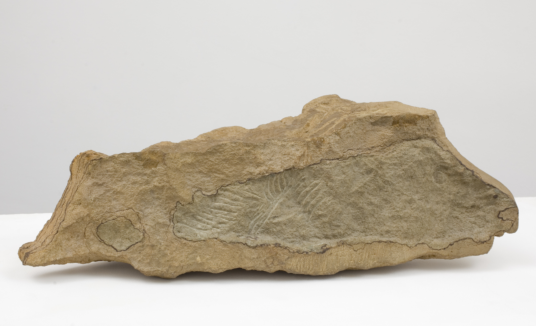  Barry Flanagan,  Lamb/Fish , 1975, Hornton stone on a wooden base, 26 x 63.5 x 14 cm. (including the wooden base), Signed with the artist's initial 'f' (on the top of the stone); incised 'FISH' (on the side) 