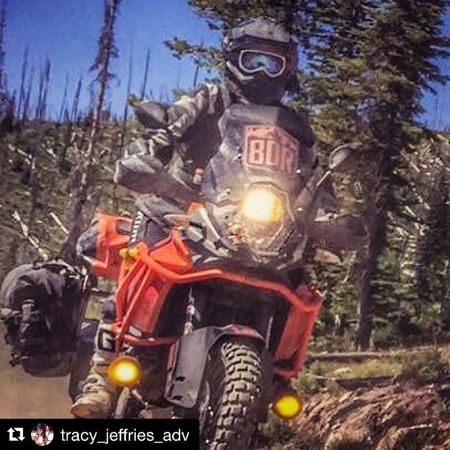 @tracy_jeffries_adv rockin the @ridebdr windscreen decal! Order yours on our website for your next BDR ride and 20% of each purchase goes back to Back Country Discovery Routes to support their effort!
#Repost @tracy_jeffries_adv with @repostapp
・・・
#