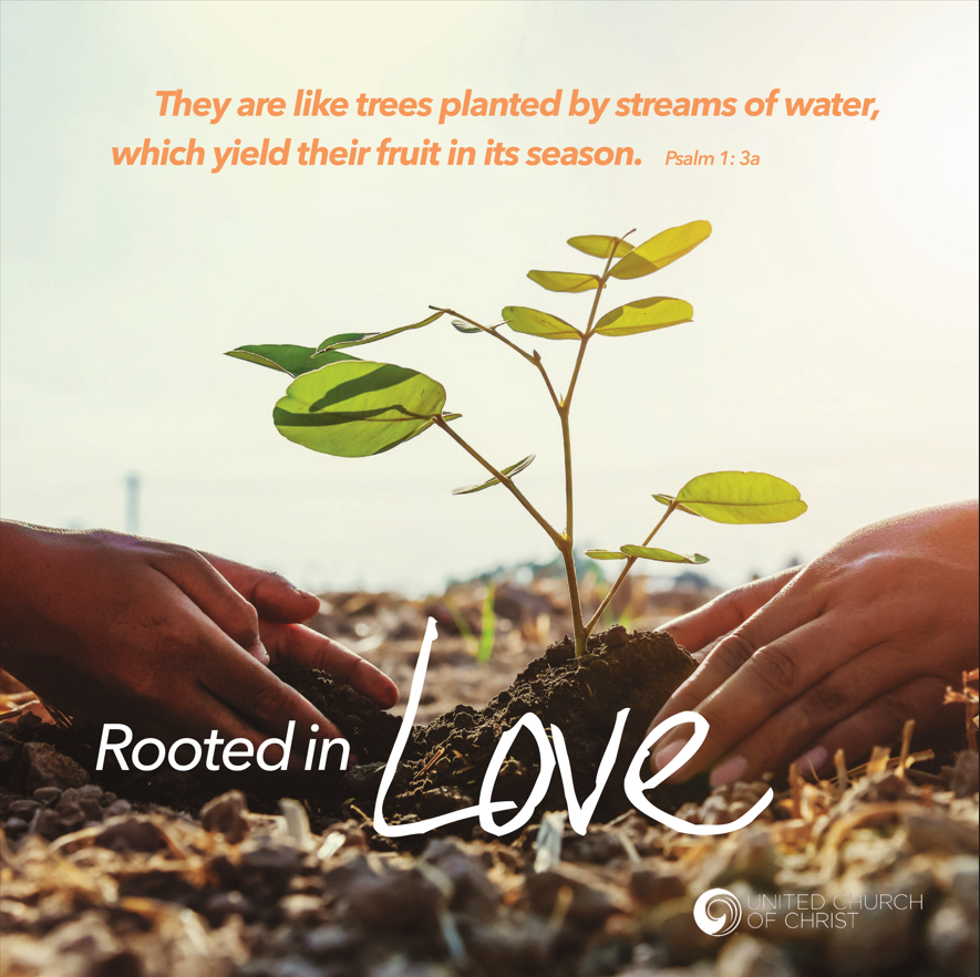 Stewardship Sermon Series - Rooted In Love