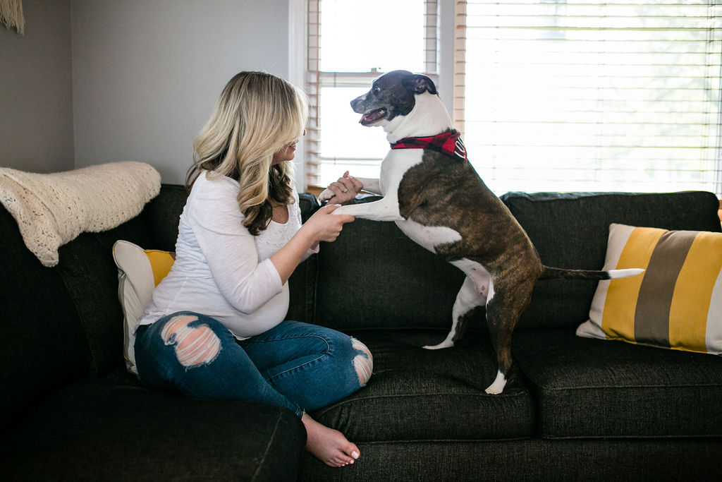 Maternity Photography Detroit