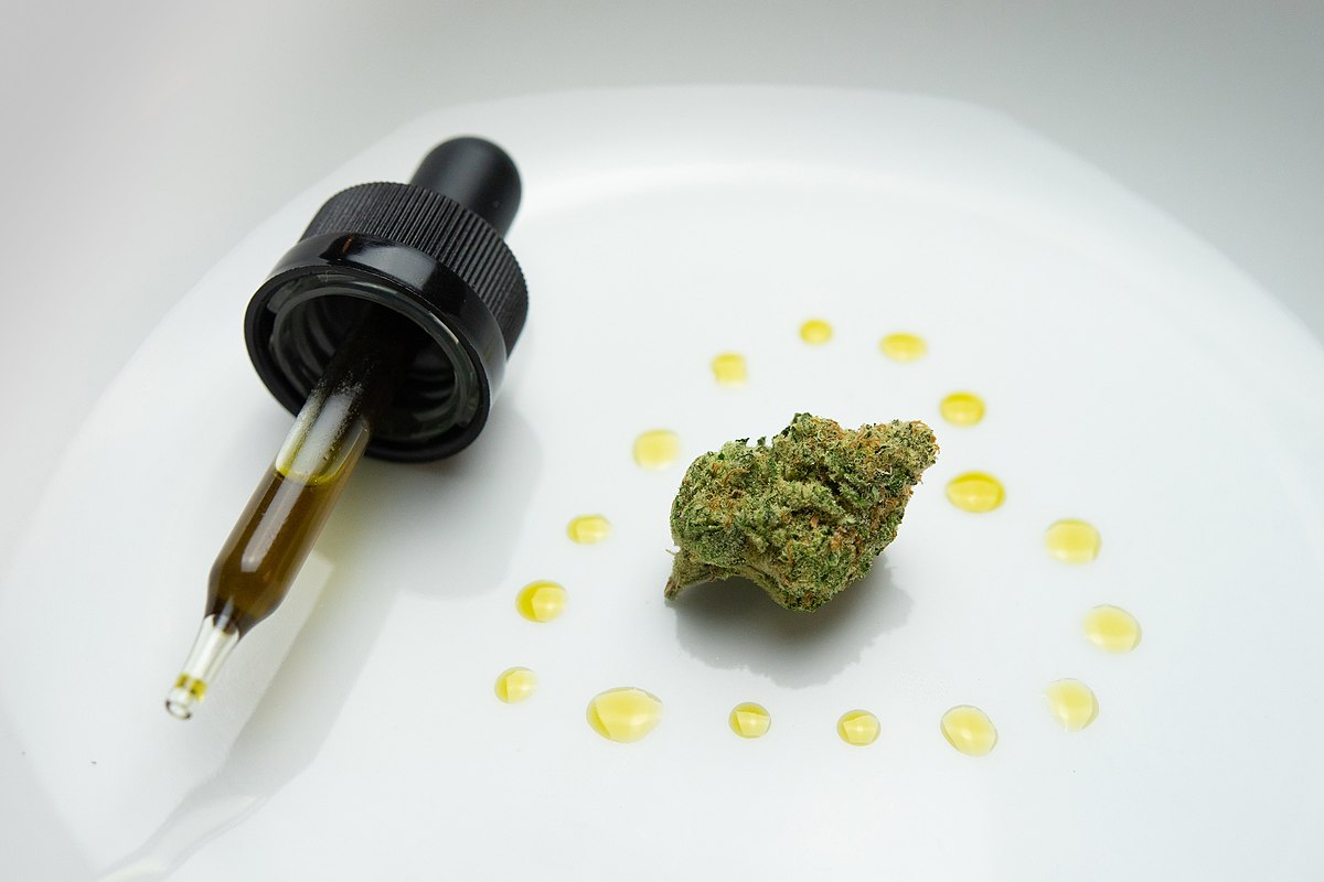1200px-Cannabis-Oil-on-Plate-by-workwithsherpa.jpg