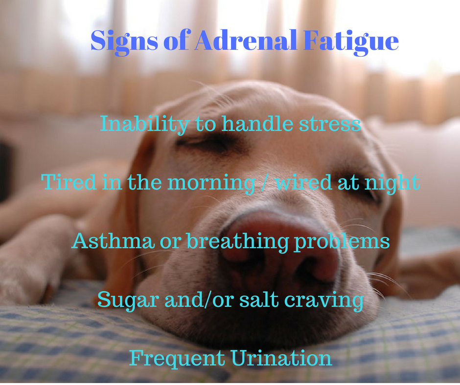 Signs of Adrenal Fatigue (1).png