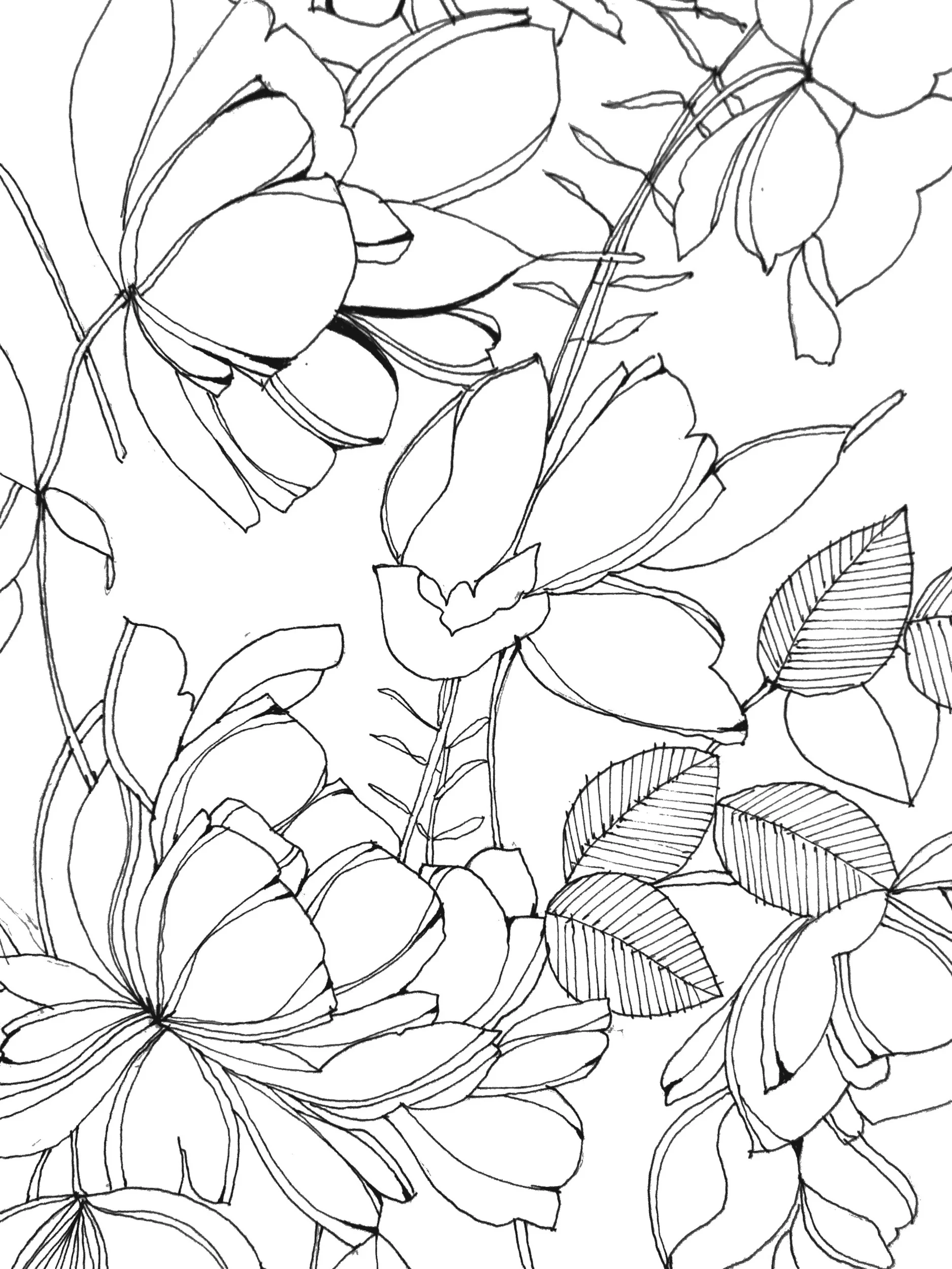 2019-10-01 03-18.jpeg