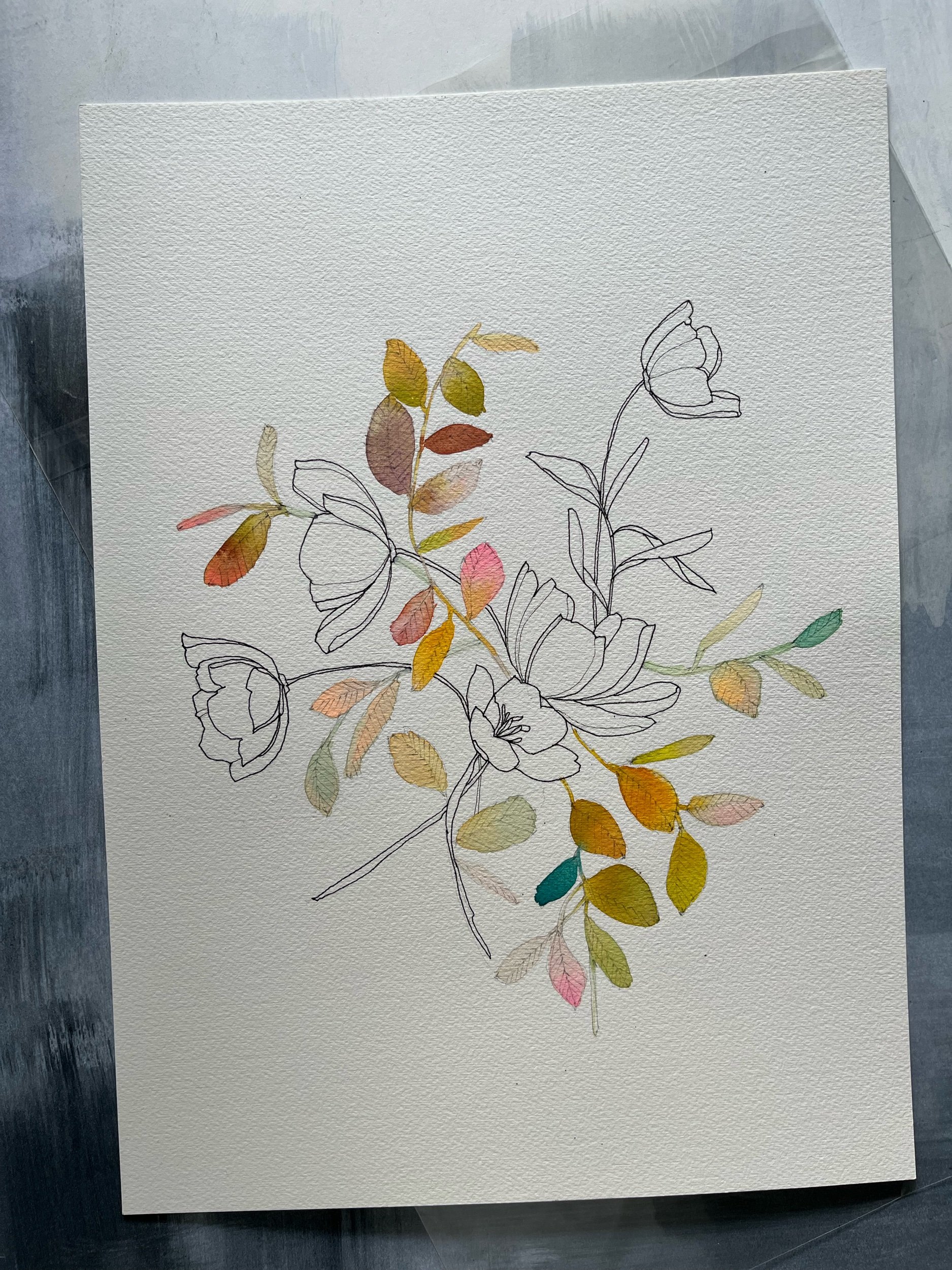 3B1D6F72-6BB2-4511-97E1-9B0DEA56015B