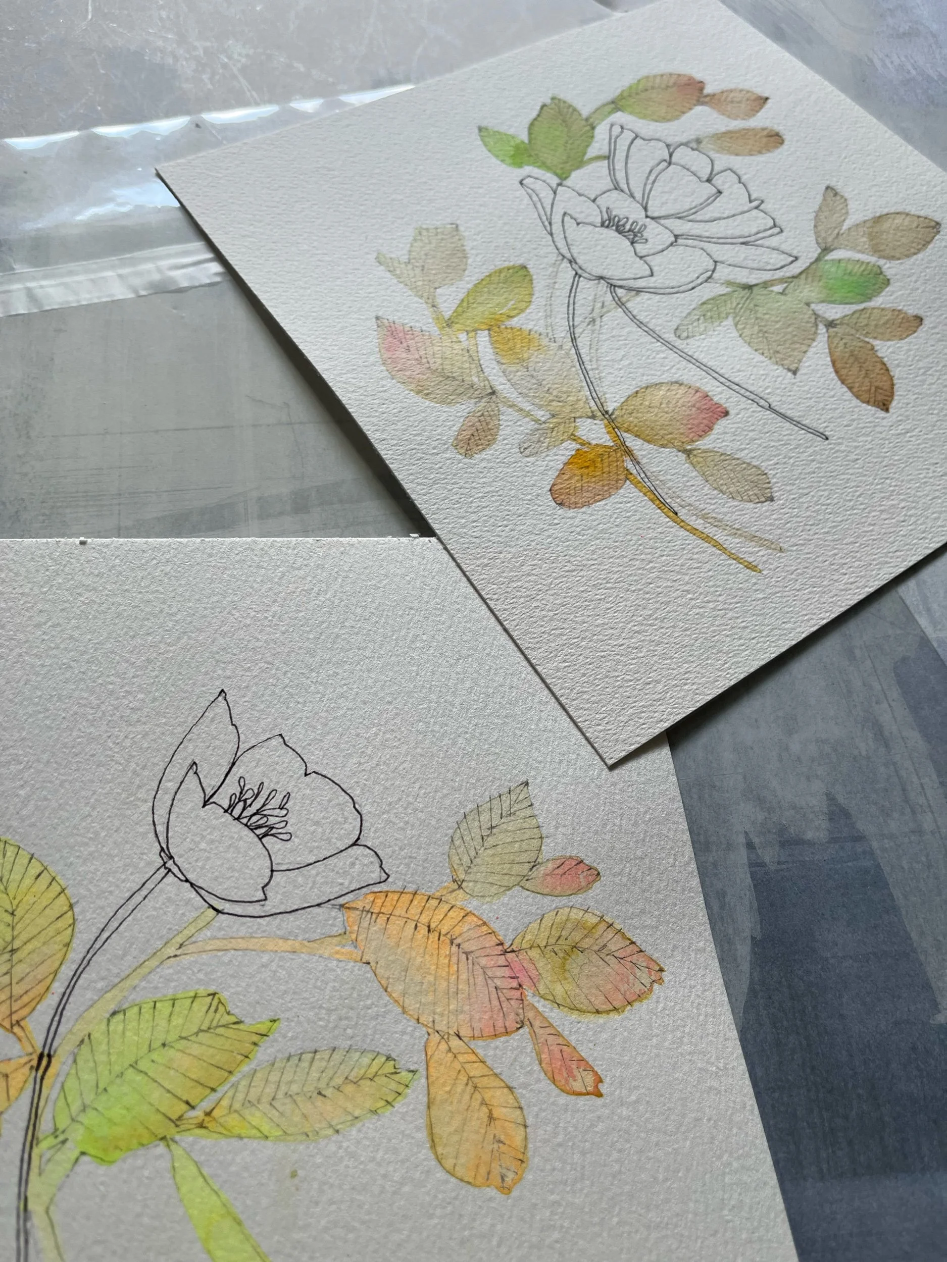 EE0744BB-5E38-4E4C-BA87-4DCC0DCF9B1D