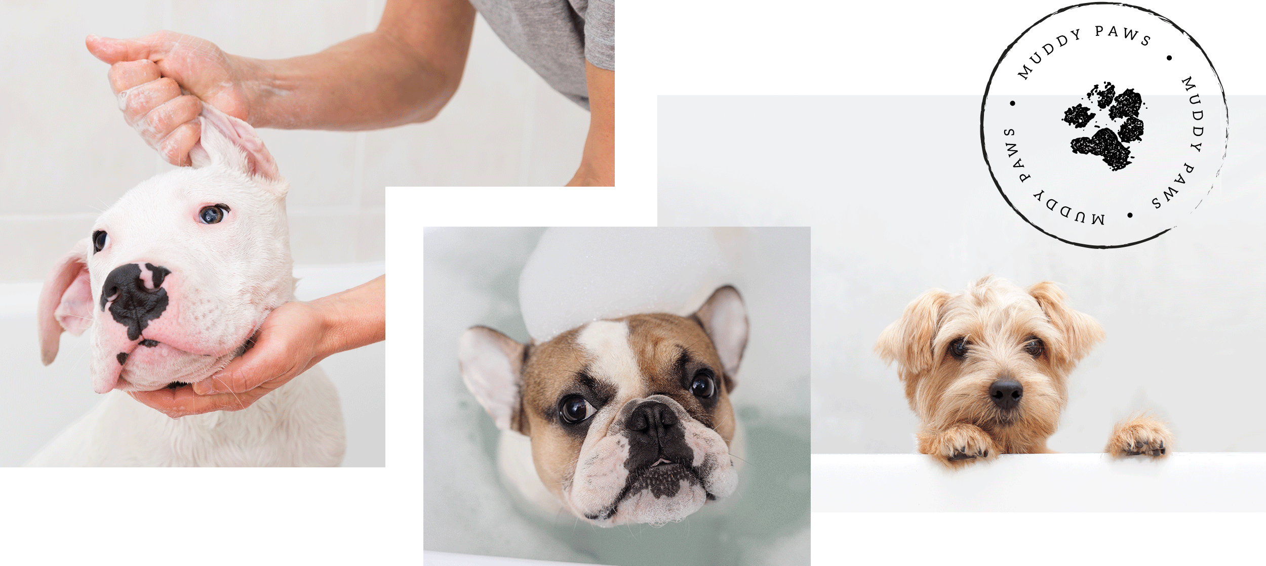 Muddy Paws Pet Spa and Grooming North Dakota