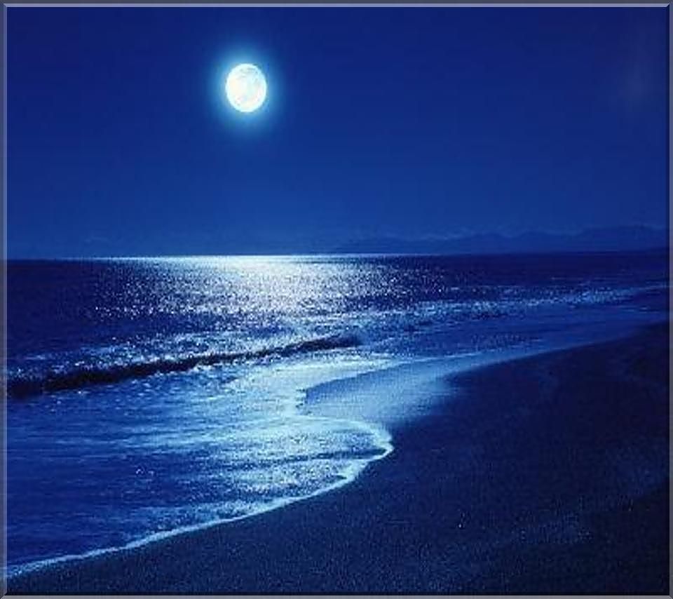 pitta blog moonlight.jpg