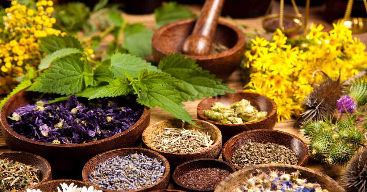 Prema Yoga Institute Is Now Part of a Larger Home for Bioenergetic Medicine