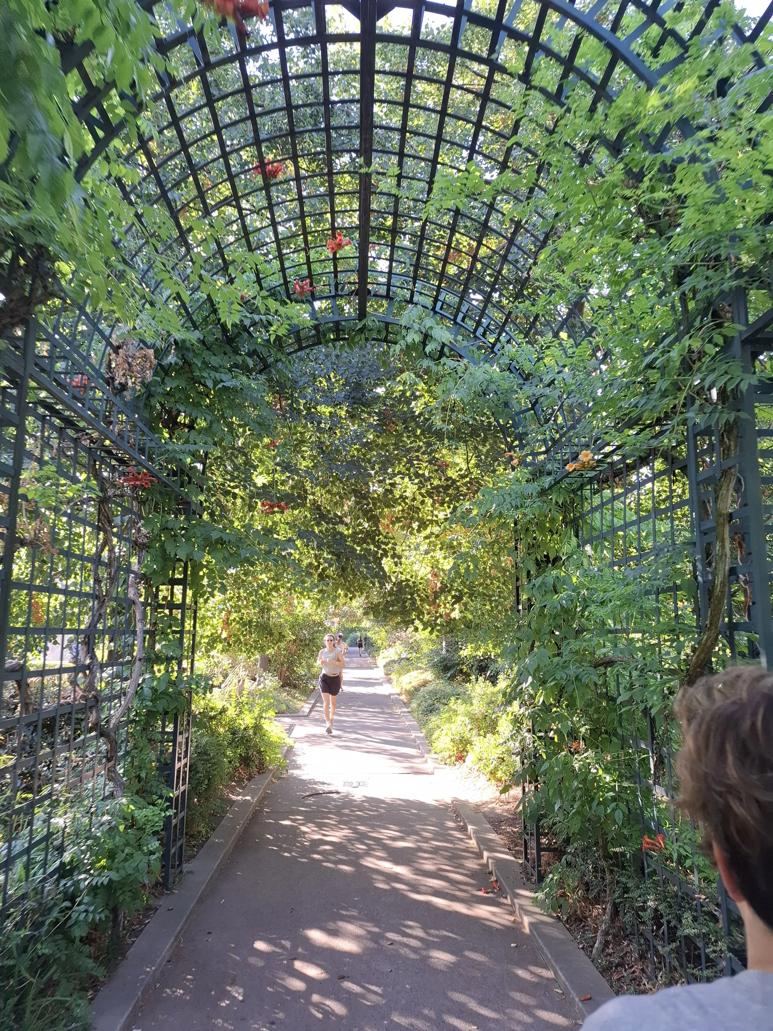 Walking Paris's Coulée Verte René-Dumont (the original green highline)