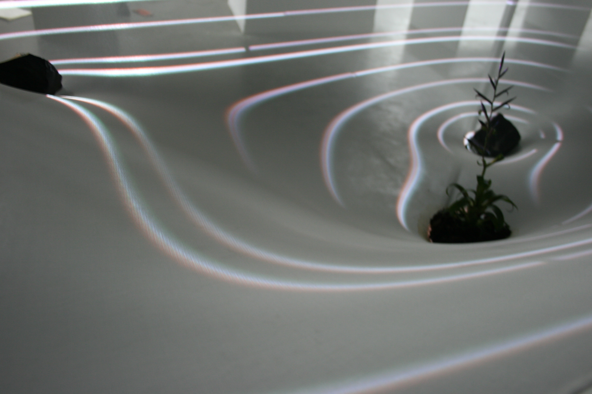 blaze of the curve-.JPG