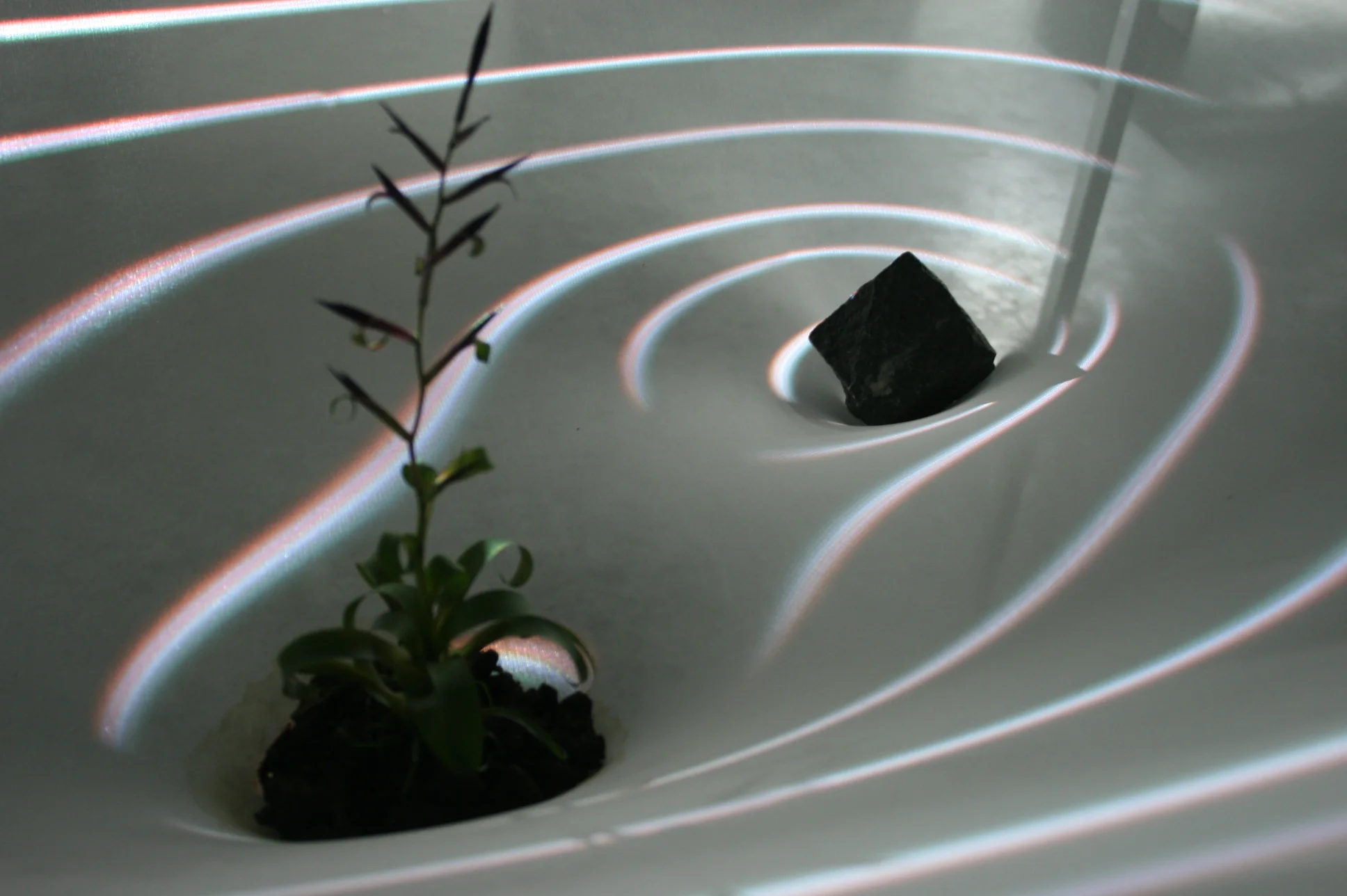 blaze of the curve0.JPG