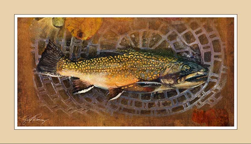 Troutfecta_Brook_01.jpg