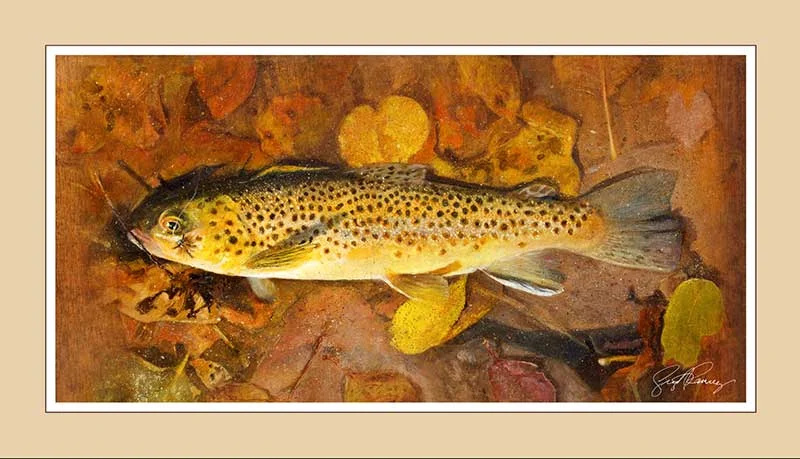 Troutfecta_Brown_01.jpg
