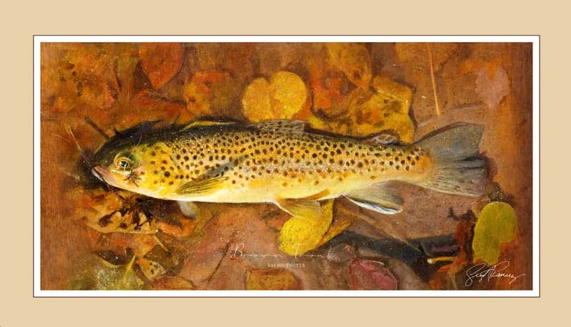 Troutfecta_Brown_GS_01.jpg