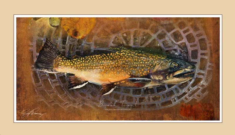 Troutfecta_Brook_GS_01.jpg