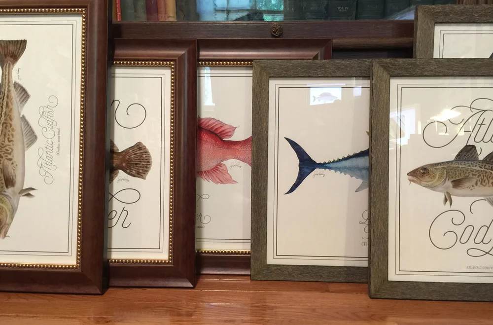 Framing — RAMSEY PAINTS