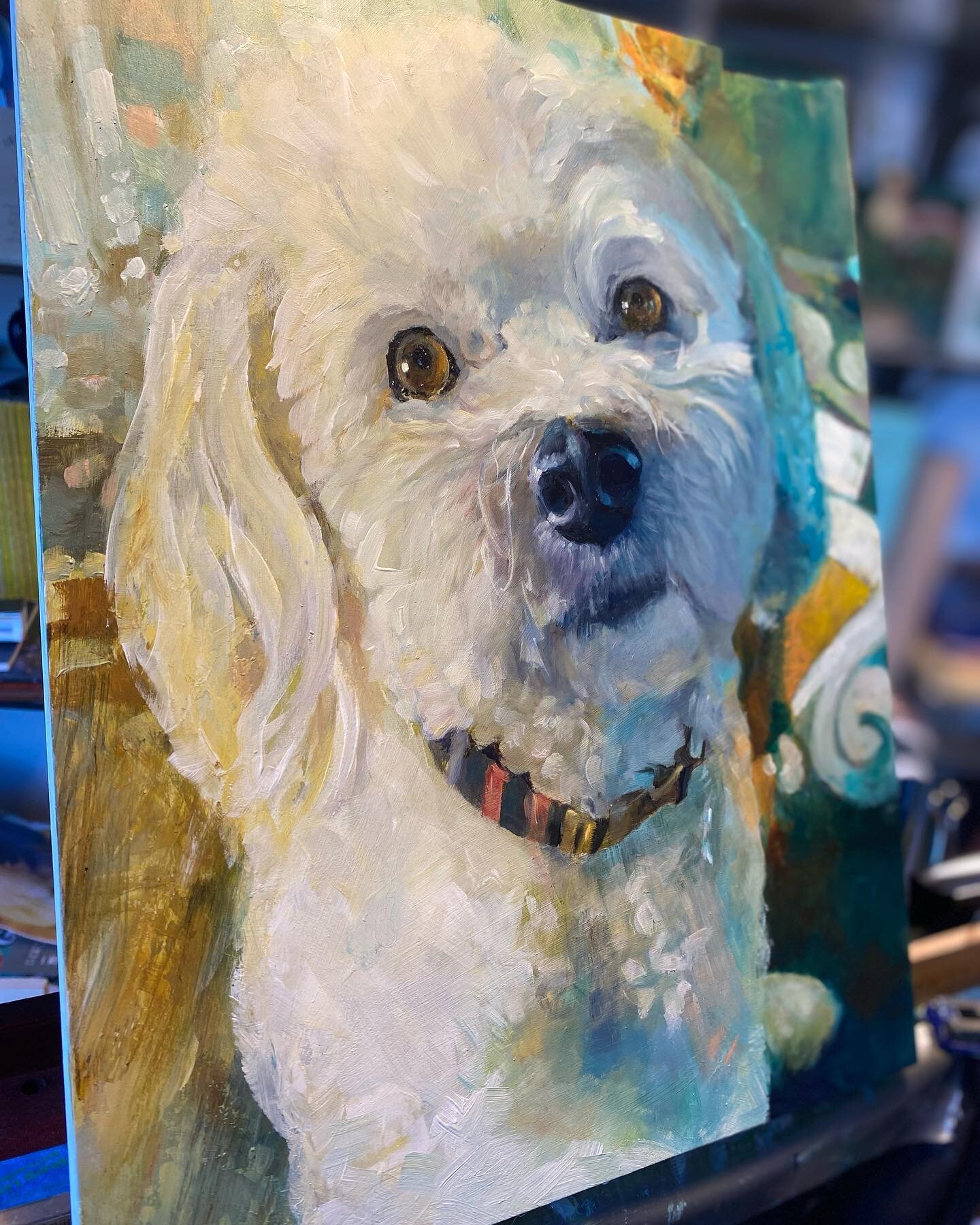 Here&rsquo;s a little portrait I finished a couple weeks ago of Sweet Lil&rsquo; Oliver. What a cutie pie. Love the fun colors in this one.