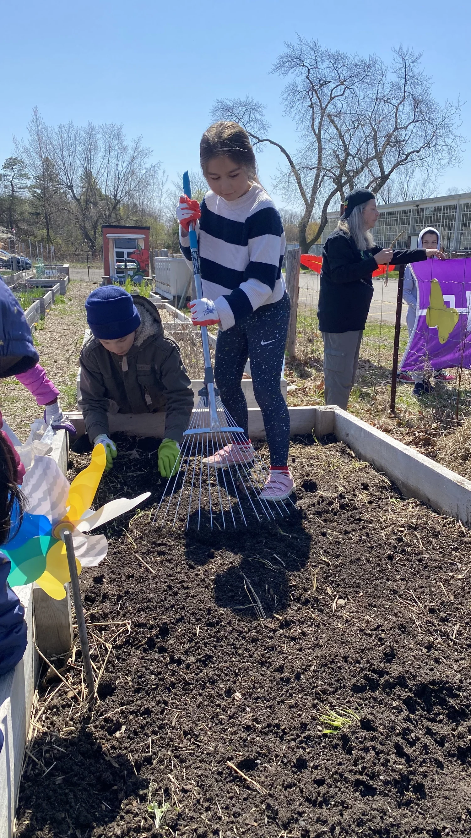 Students engaging in gardening
