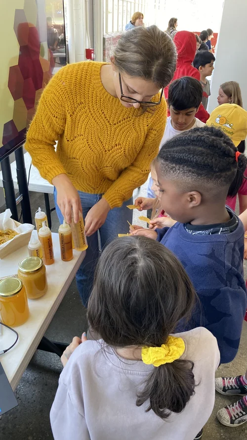 Honey tasting