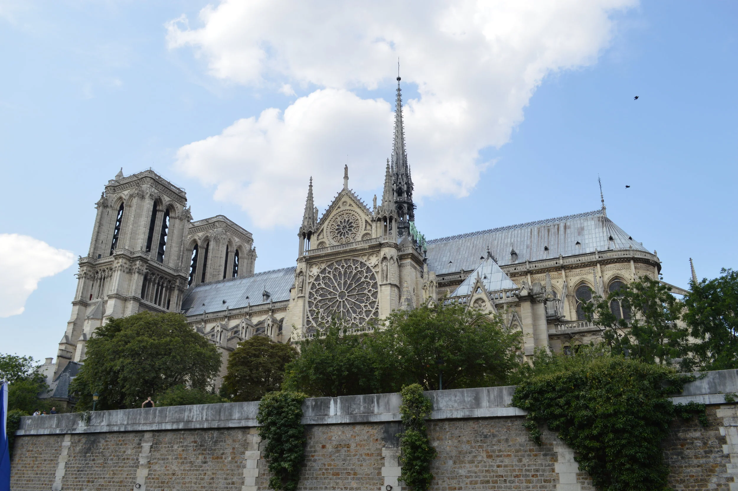 DSC_0810.JPG