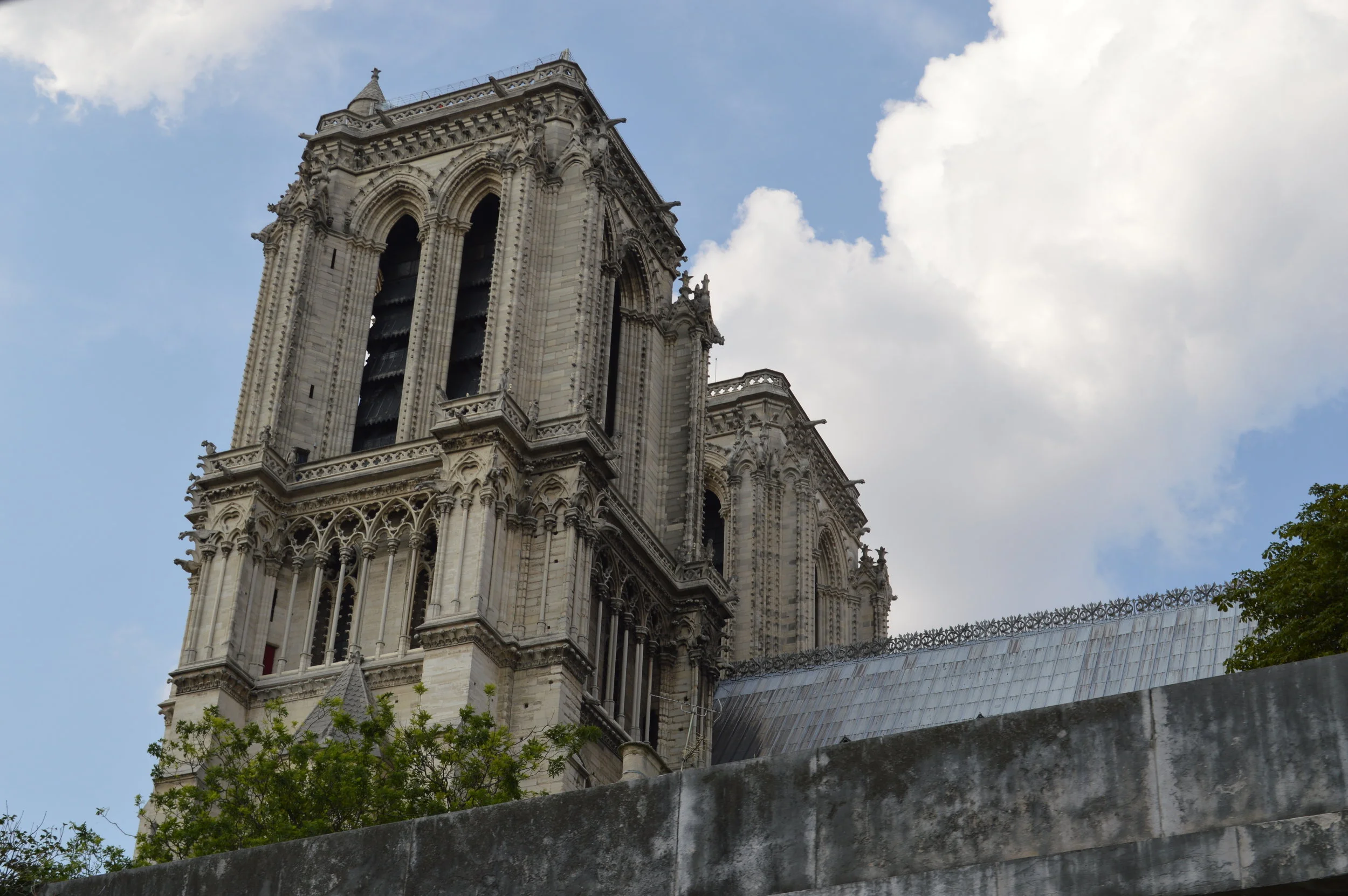 DSC_0802.JPG