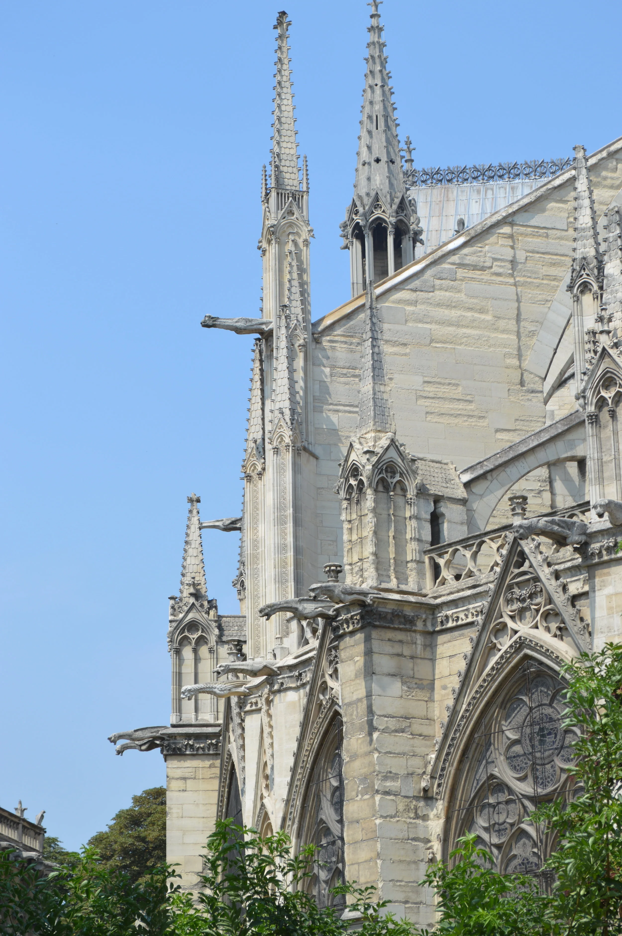 DSC_0469.JPG