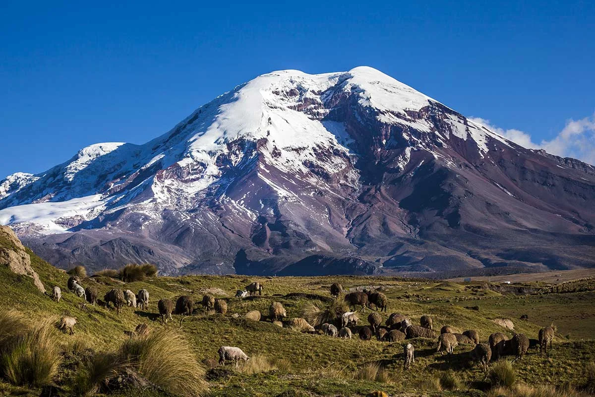 ECUCT002_chimborazo-circuits-equateur-tui.jpg