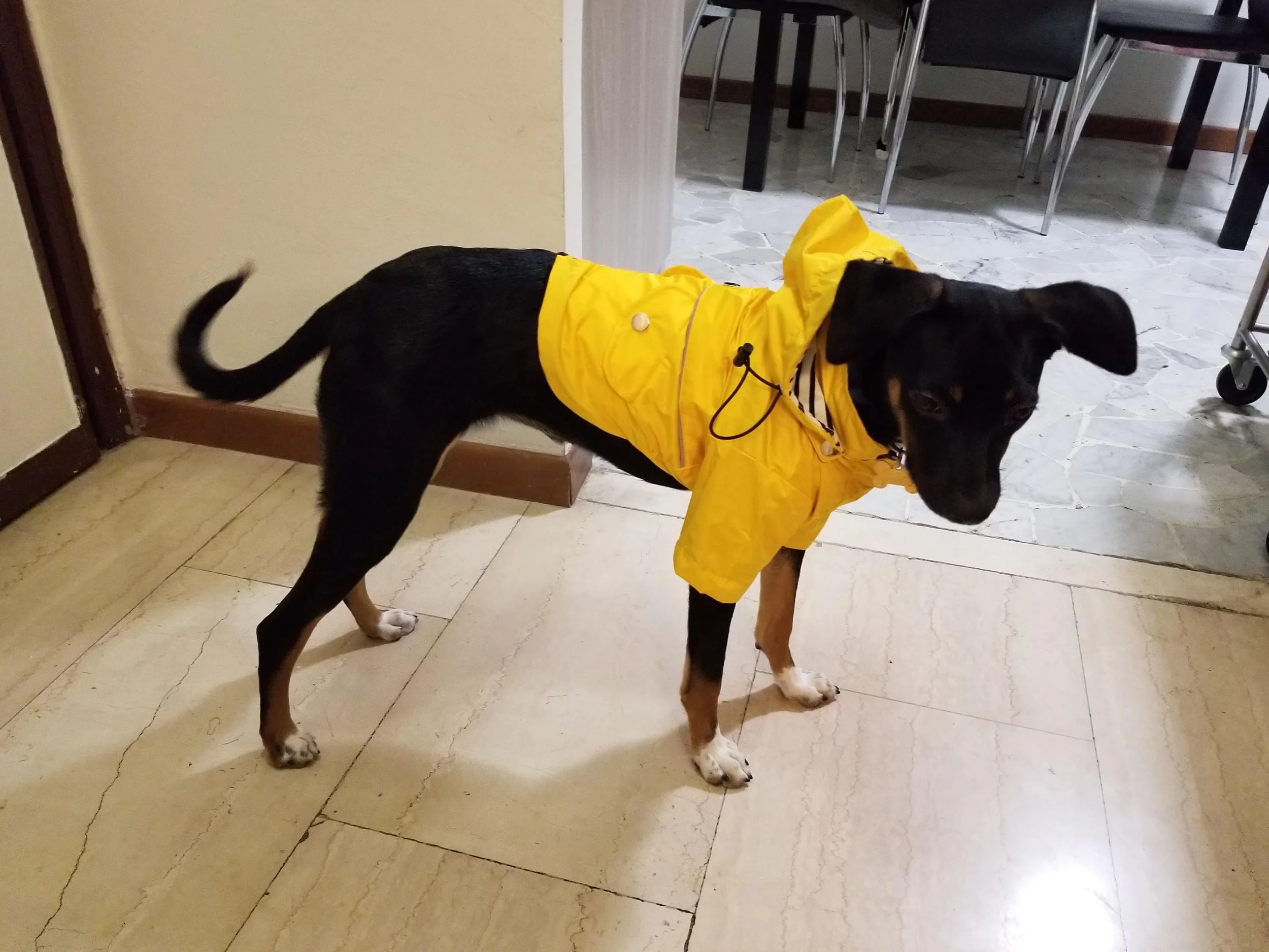 20201203_192246.jpg