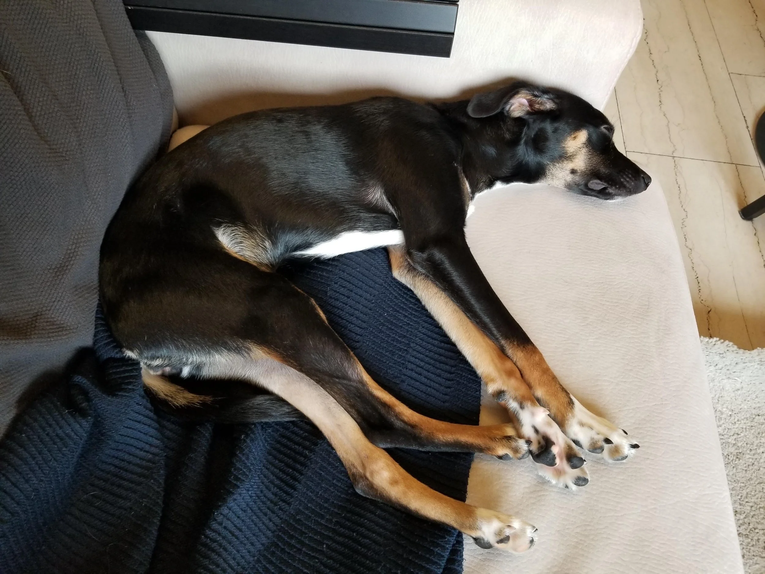 20201207_132323.jpg