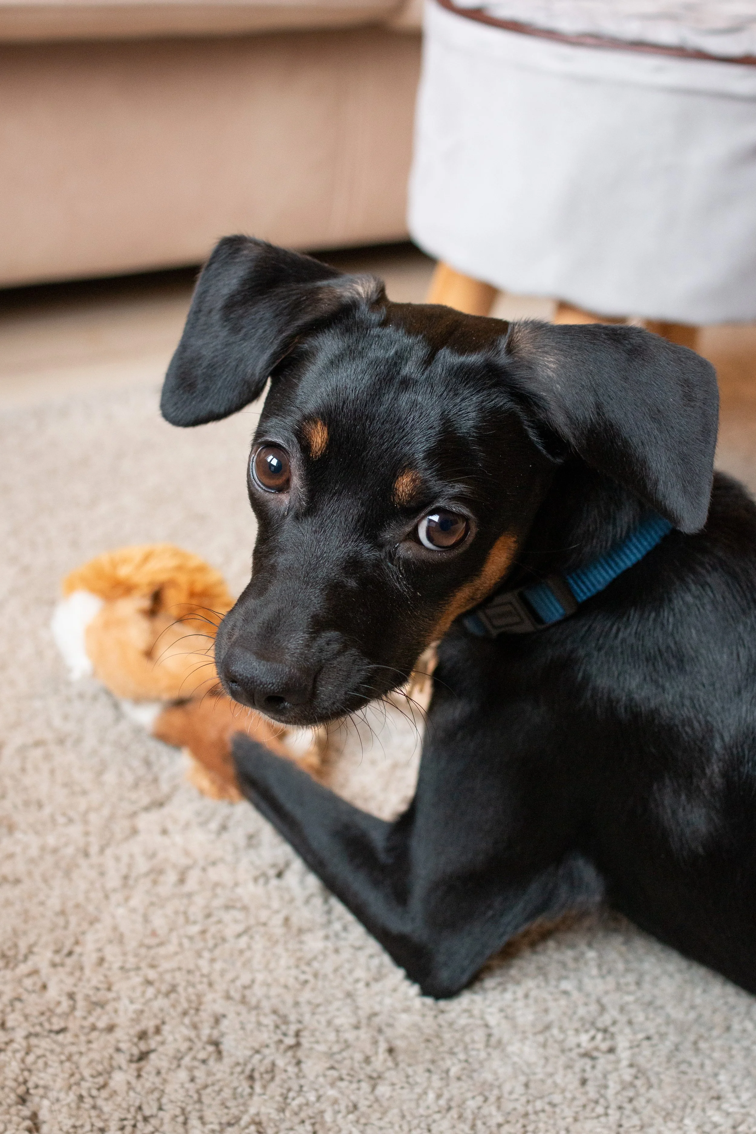 Pepper_035.jpg