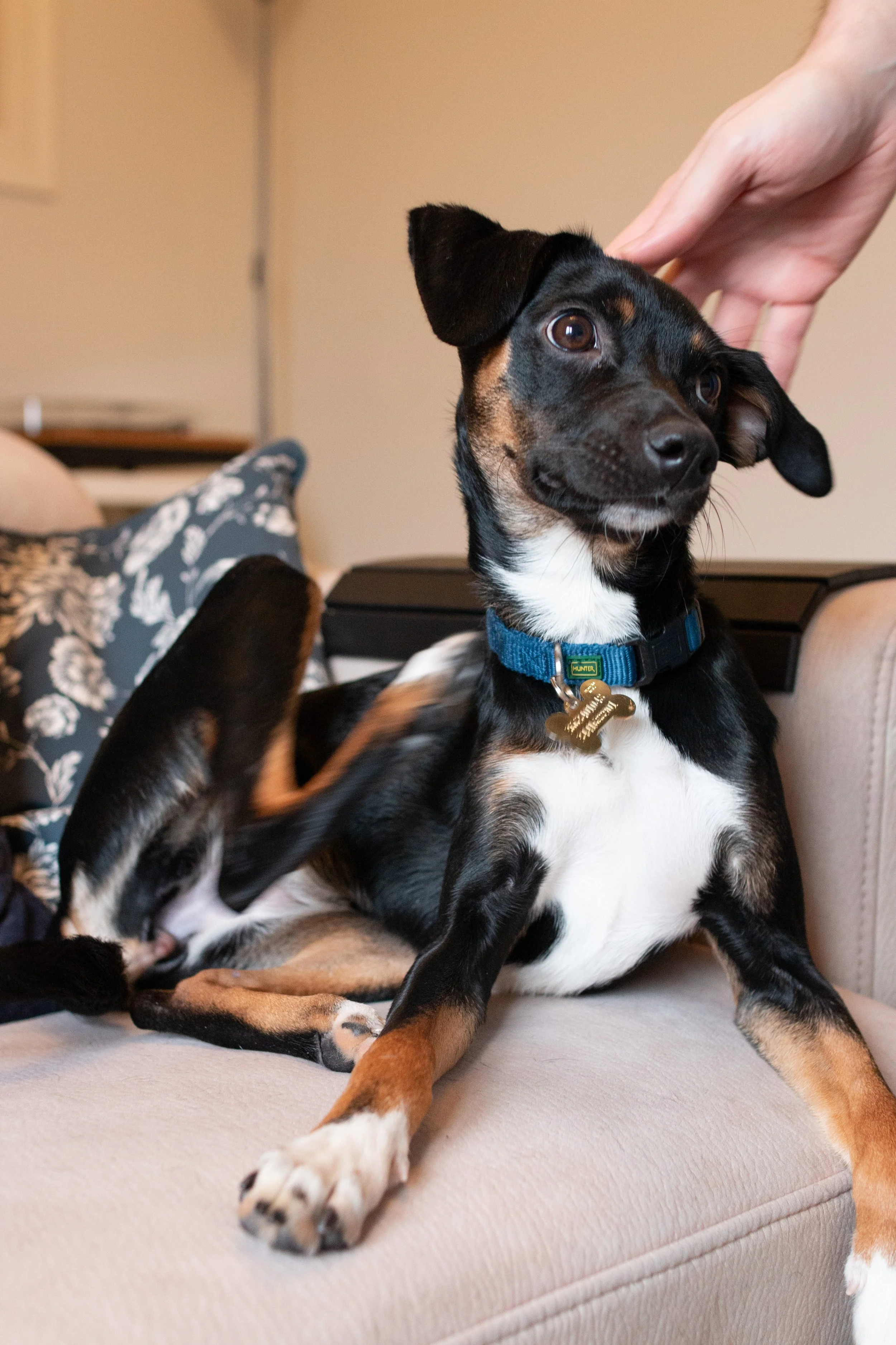 Pepper_049.jpg