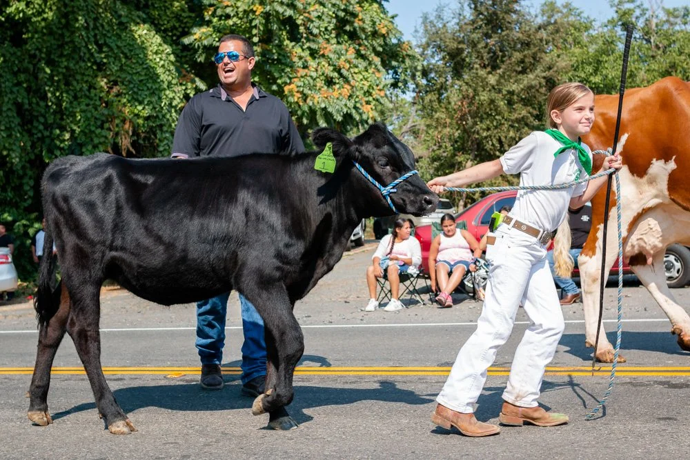 Nicolaus Labor Day Parade