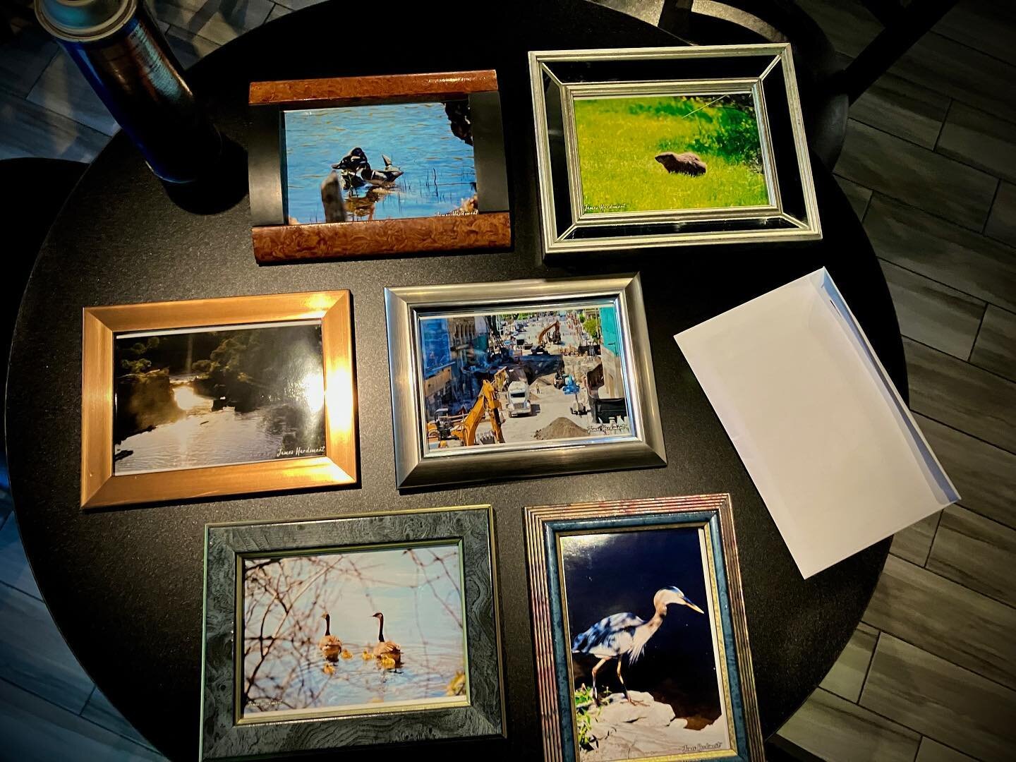 FRAMED PHOTOGRAPHS FOR SALE! $25.00 each! #ottawaphotographs #ottawaphotography #photosforsale 
#naturephotography #naturephotographer #photographer #canadianphotographer