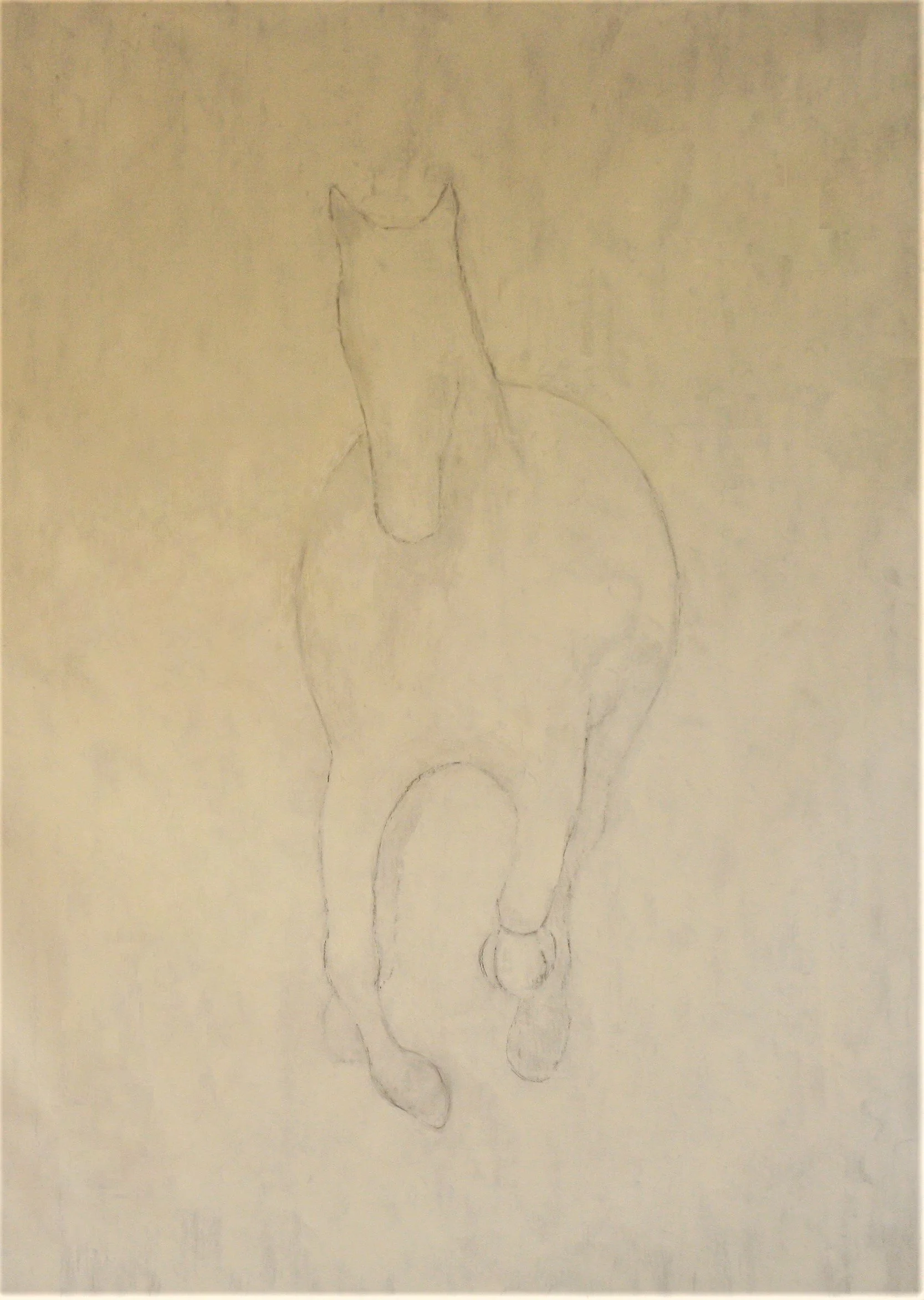 Horse Galloping.JPG